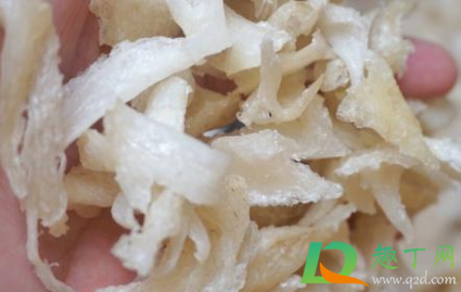 为什么燕窝泡发后很碎(燕窝泡发碎了)