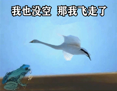 2021跨年夜有空吗天鹅表情包分享无水印(2021跨年夜有空吗表情包青蛙天鹅)
