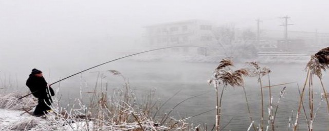 冬天有雾适合钓鱼吗(冬天下雾好不好钓鱼)
