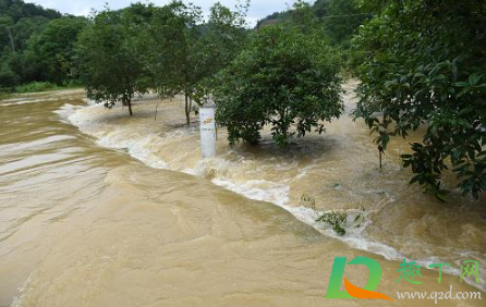 2021年是大旱还是大涝(2021年是干旱还是涝)