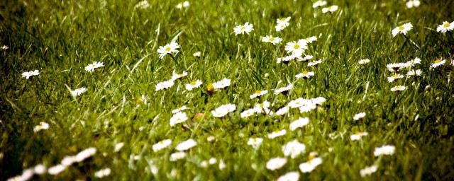 简短走心人人点赞(人人点赞的句子)