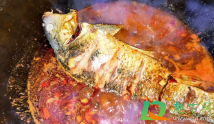 鲤鱼没有抽筋吃了会生病吗(鲤鱼不抽筋吃下去会有什么后果) 鲤鱼没有抽筋吃了会生病吗(鲤鱼不抽筋吃下去会有什么后果)