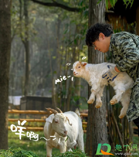 武汉野生动物王国值得去吗(武汉动物园和武汉野生动物王国哪个好玩)