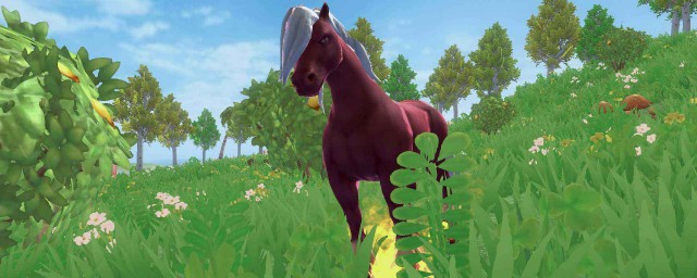 苹果树位置介绍(苹果树种在什么地方)