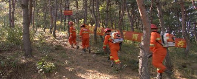 易门县森林防火期具体时间如下(易门森林火灾)