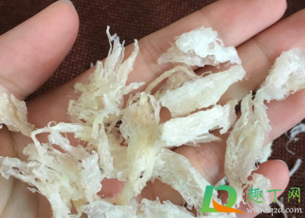 为什么燕窝泡发后很碎(燕窝泡发碎了)