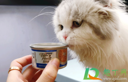 如何防止猫咪翻垃圾桶(如何阻止猫翻垃圾桶)