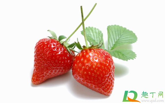 草莓籽红色是染色吗(草莓籽 颜色)
