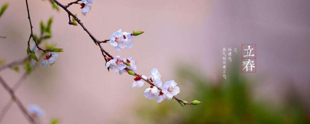 立春是什么意思 什么时候立春 所代表的的寓意和气候特点是什么