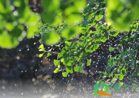 下雨天适合发朋友圈的心情经典句子(适合下雨天发的朋友圈心情说说大全)