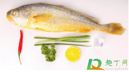 现在吃黄花鱼安全吗(吃黄花鱼会中毒吗)