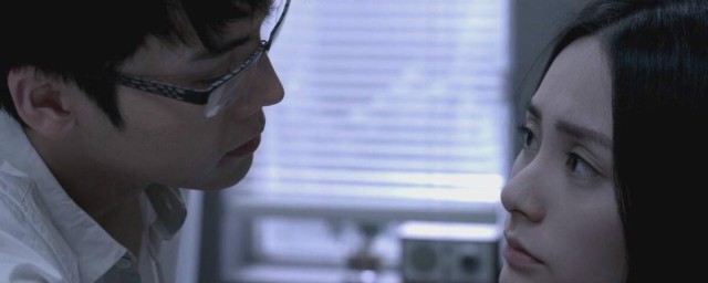 前度剧情简介(前度的剧情)