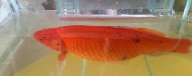 一定要注意以下三点(注意的三种类型)