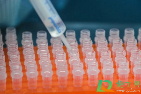 2021大学生寒假持核酸报告回家还用隔离不(2021开学大学生做核酸吗?) 2021大学生寒假持核酸报告回家还用隔离不(2021开学大学生做核酸吗?)