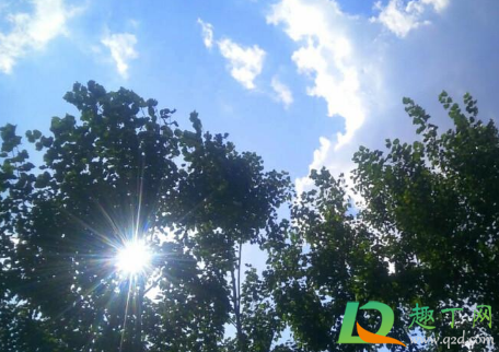 2021年春节深圳天气冷吗(深圳今年过年冷吗2021)