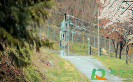 2021年春节深圳天气冷吗(深圳今年过年冷吗2021)