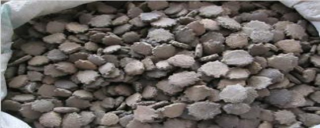 木鳖子的壳需要除去吗(木鳖子怎么去皮)