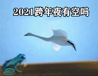 2021跨年夜有空吗天鹅表情包分享无水印(2021跨年夜有空吗表情包青蛙天鹅)