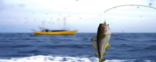 冬天钓鱼好钓吗(冬天钓鱼好钓么)