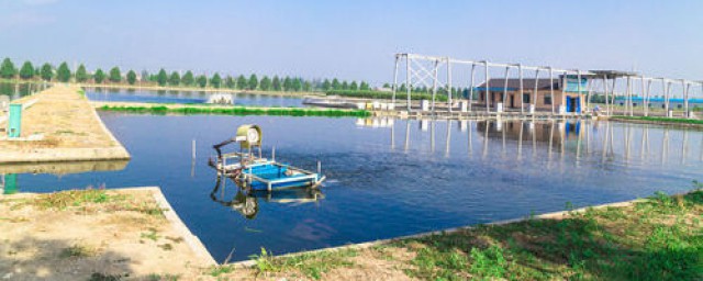 水产养殖学毕业可以从事的工作如下(水产养殖学毕业后的发展)