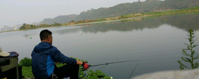 玉米制作窝料法钓鲫鱼的方法(钓大鱼玉米窝料怎么制作)