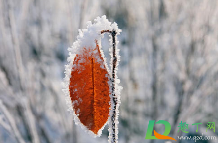 2021元旦哪些地区会大幅度降温(2021国庆节会降温吗)