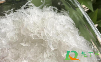 燕窝泡发快好还是慢好(燕窝泡发时间短好吗)