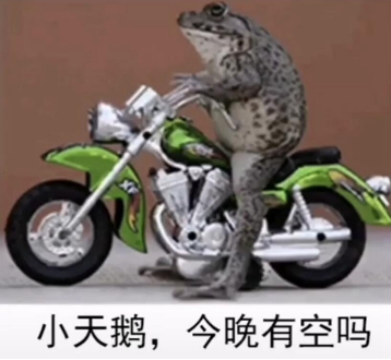 2021跨年夜有空吗天鹅表情包分享无水印(2021跨年夜有空吗表情包青蛙天鹅)