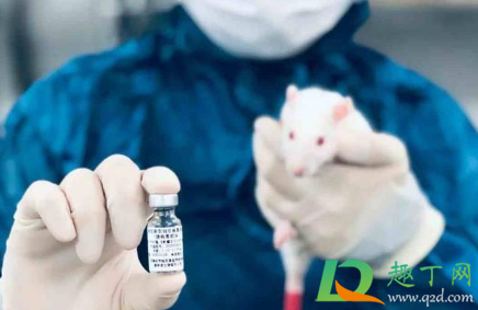 打了新冠疫苗怀孕了孩子能要吗(夫妻俩都打了新冠疫苗怀孕了孩子能要吗)