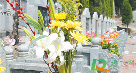 2021年春节国家允许烧纸吗(2021年元旦可以烧纸吗)