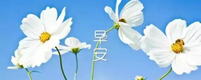 早上起来一句话让你元气满满(一早起来阳光明媚的语句)