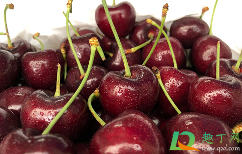 智利车厘子疫情能吃吗(疫情智利车厘子可以吃吗)