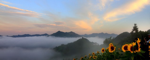 2020正月十七是02月10日(2020年10月17日是)