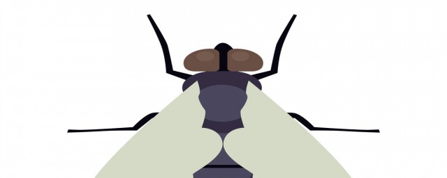 是什么原因？(附睾炎是什么原因引起的)