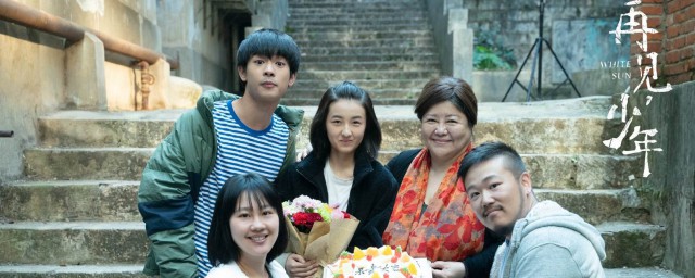 再见少年剧情简介(电影再见少年剧情详解)