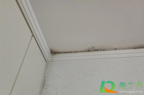 冬天家里返潮严重怎么处理(夏天家里返潮严重怎么处理)