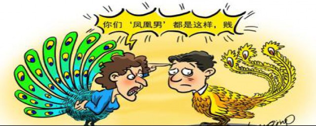 什么是凤凰男(到底什么是凤凰男)