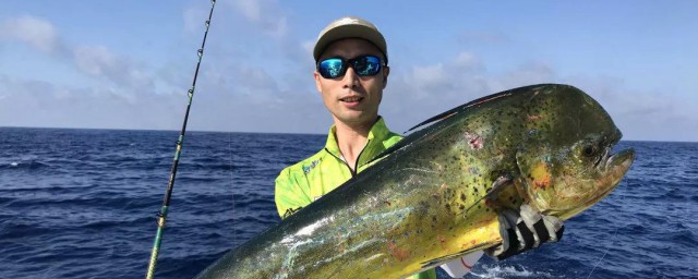 海竿放线技巧说明(海竿抛竿时如何放线)