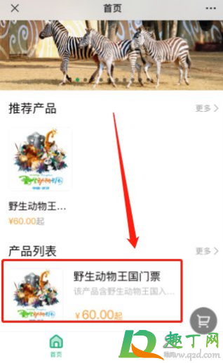 武汉野生动物王国门票怎么买(武汉动物园王国门票)