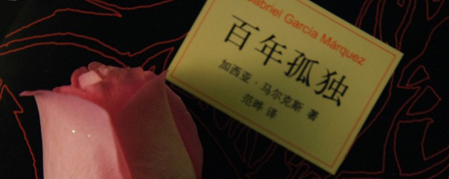 百年孤独句句都能发人深思(百年孤独短句)