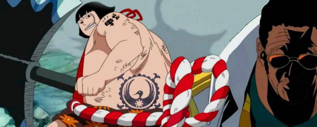 海贼王动画简介(海贼王动画剧情简介)