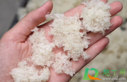 燕窝的燕碎要泡发多长时间(燕碎发泡多久)