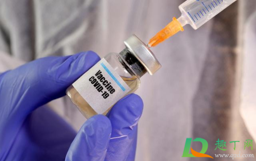 新冠疫苗打了就能免疫吗(打完新冠疫苗能免疫吗)