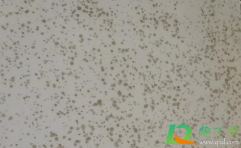 冬天家里返潮严重怎么处理(夏天家里返潮严重怎么处理)