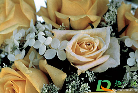 2021年无春年结婚好吗(2021年是无春年吗?适不适合结婚)