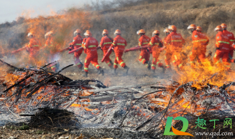 考消防工程师证是真的吗(消防工程师证是不是真的)