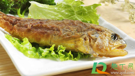 现在吃黄花鱼安全吗(吃黄花鱼会中毒吗)