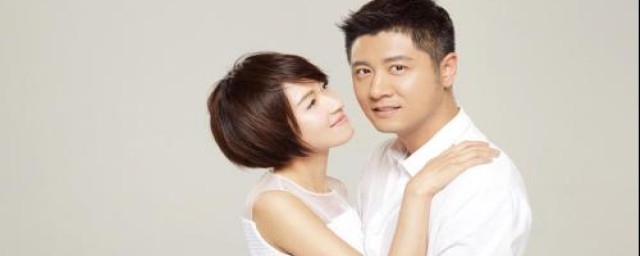 电视剧将婚姻进行到底简介(电视剧婚姻介绍)