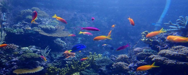 详细讲解看下面