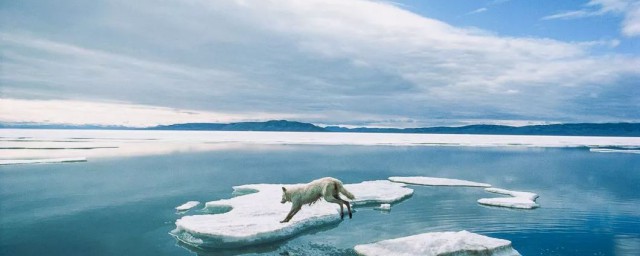 冬天打雷要防寒防冻(夏天打雷冬天不打雷)